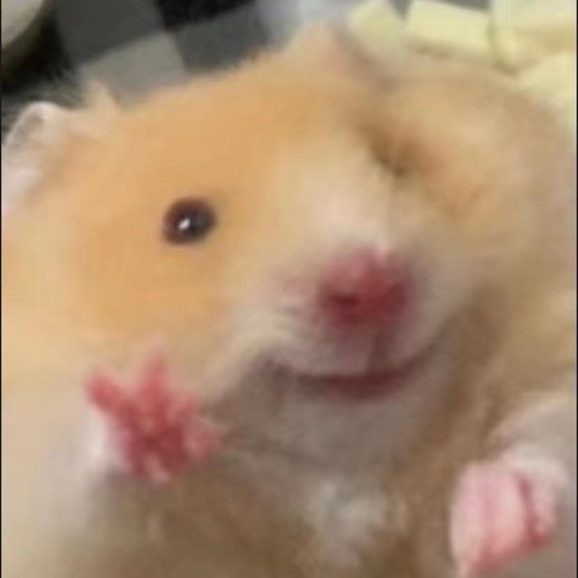 至臻小舒