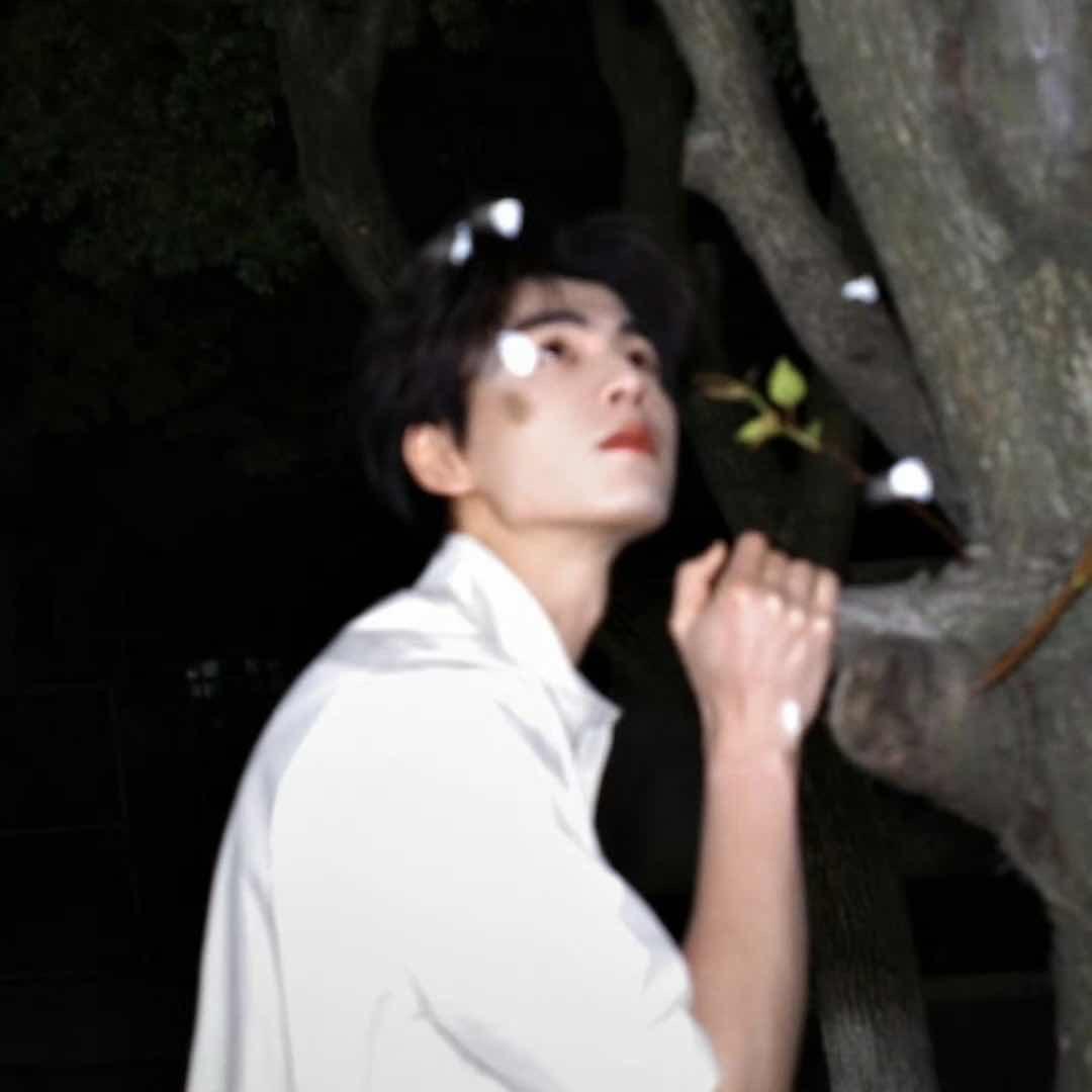 乔琳泽