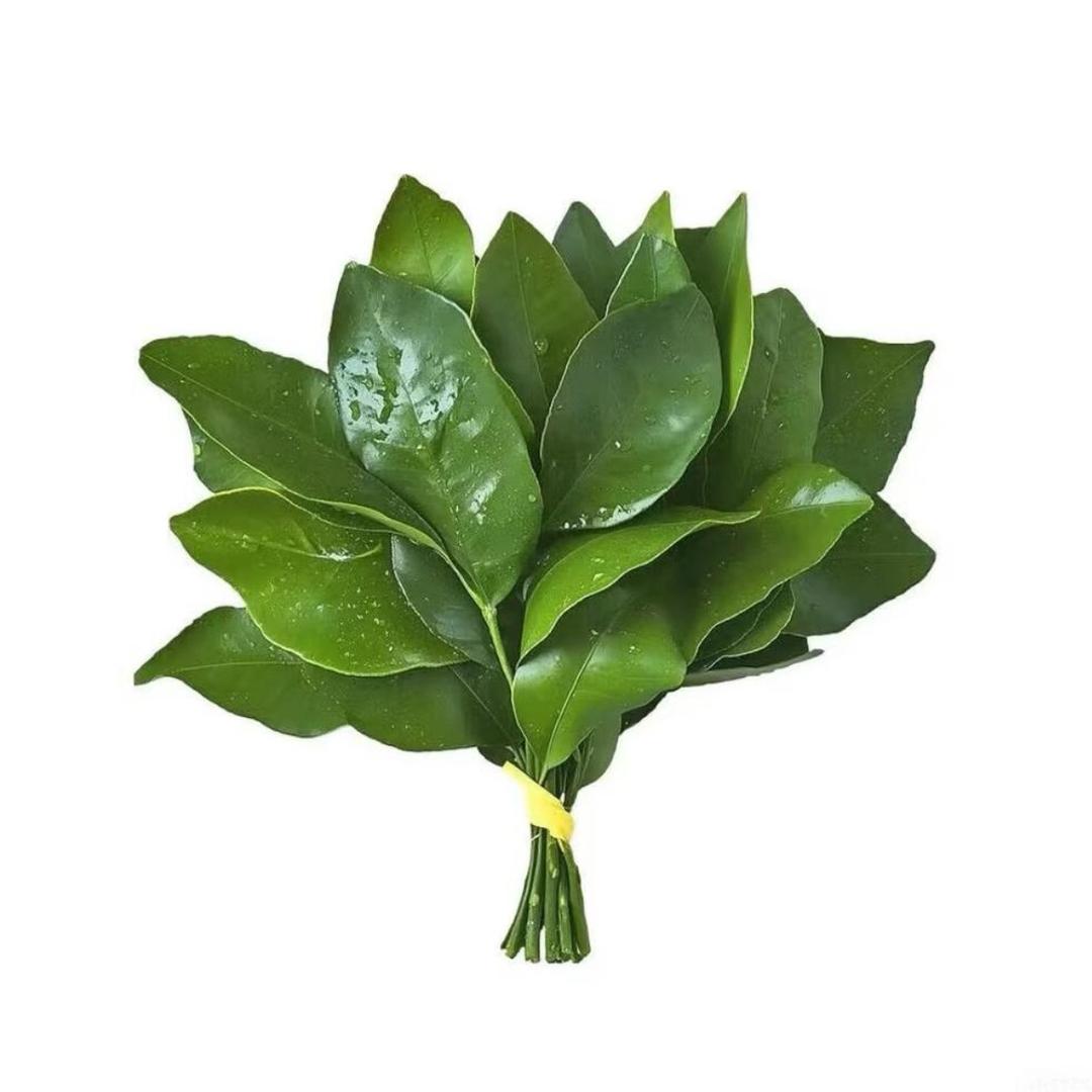 什么