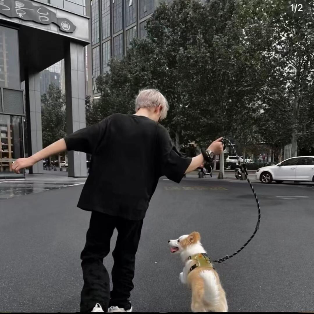 🕳️（绿鼠版）