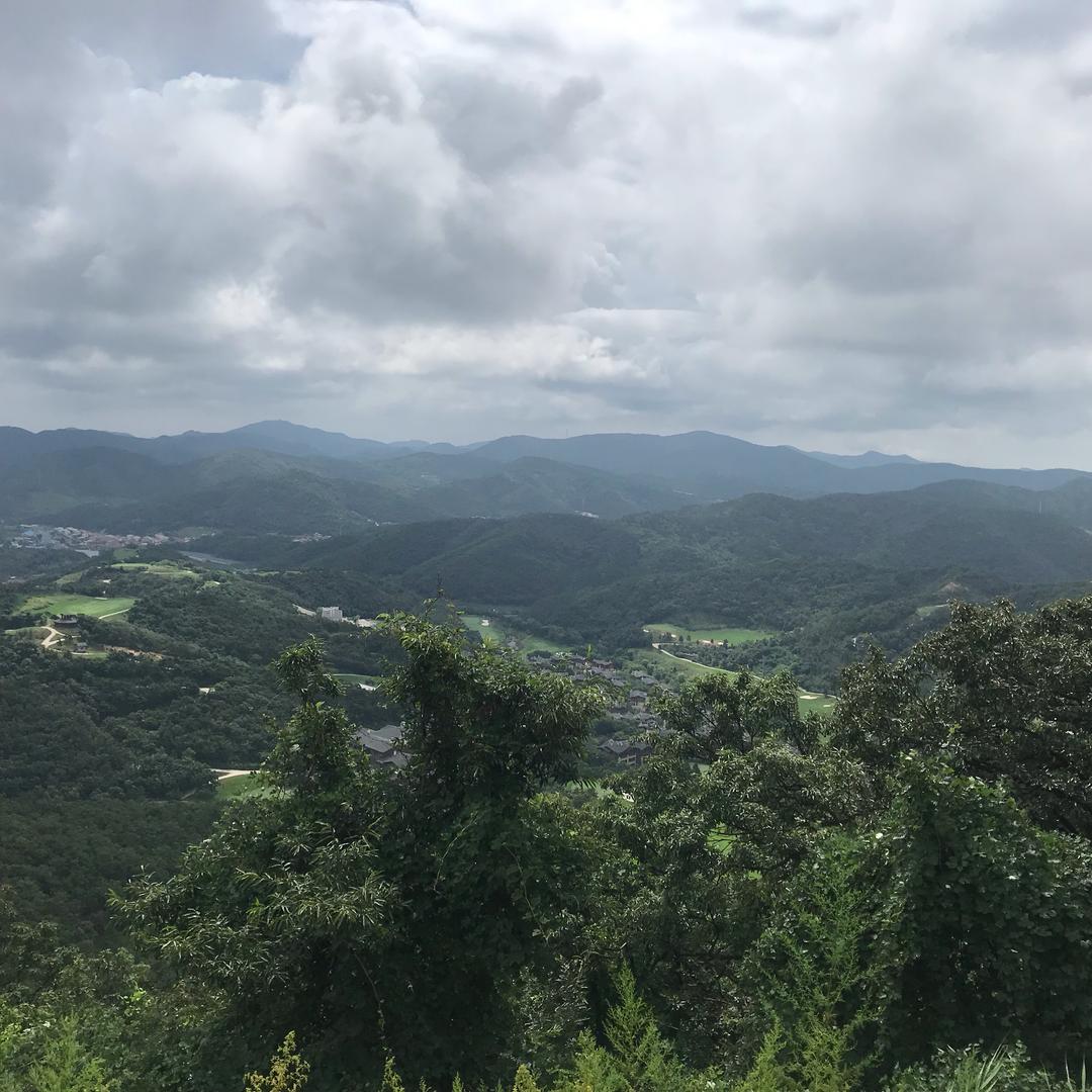 aa