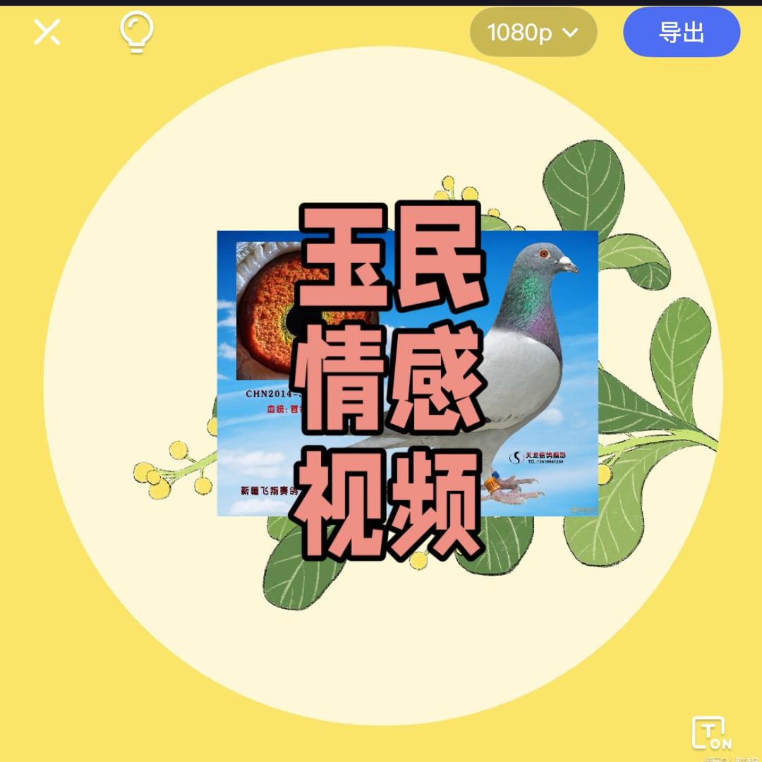“情感”播主