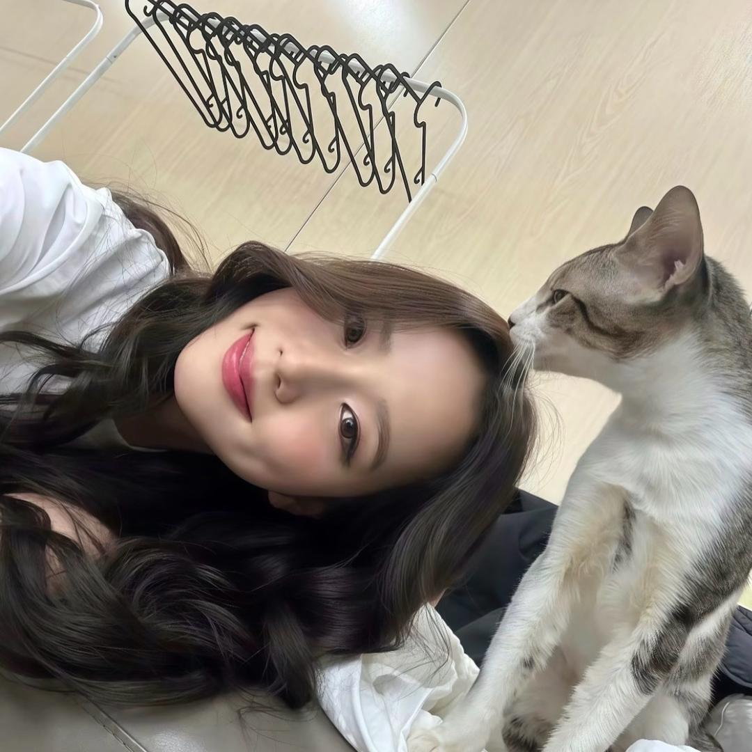 李好运