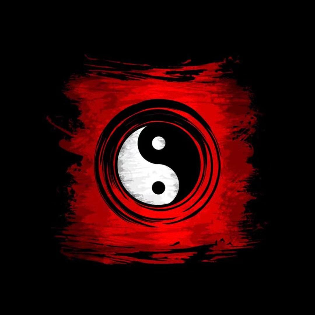 禪易