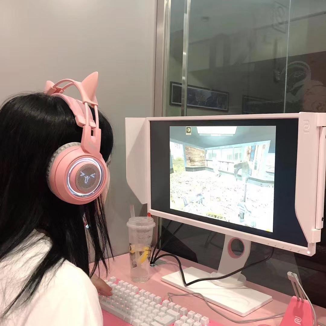 爱吃婆婆丁