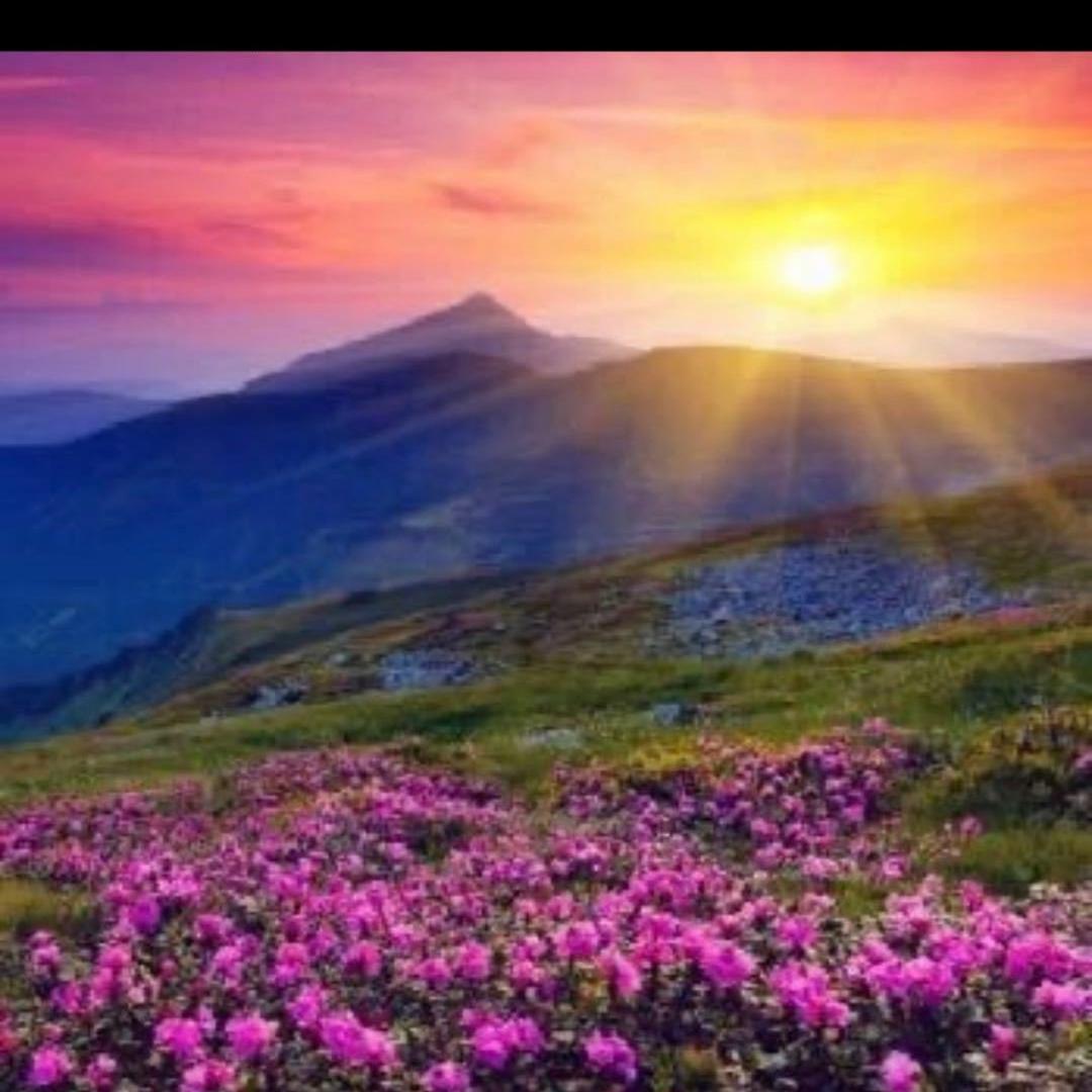 昌邑市利民街知名度服装