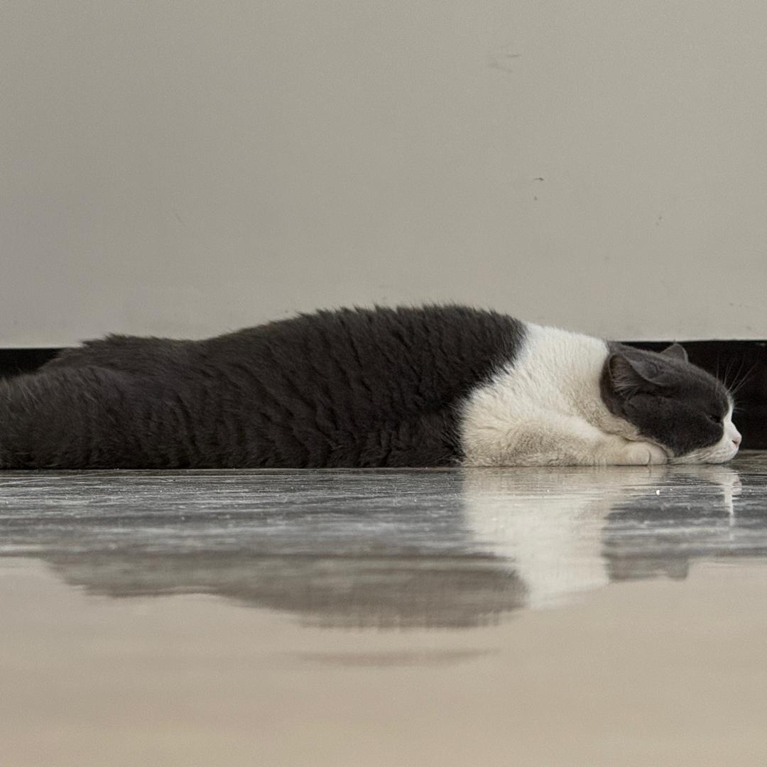 内蒙古第一勇士