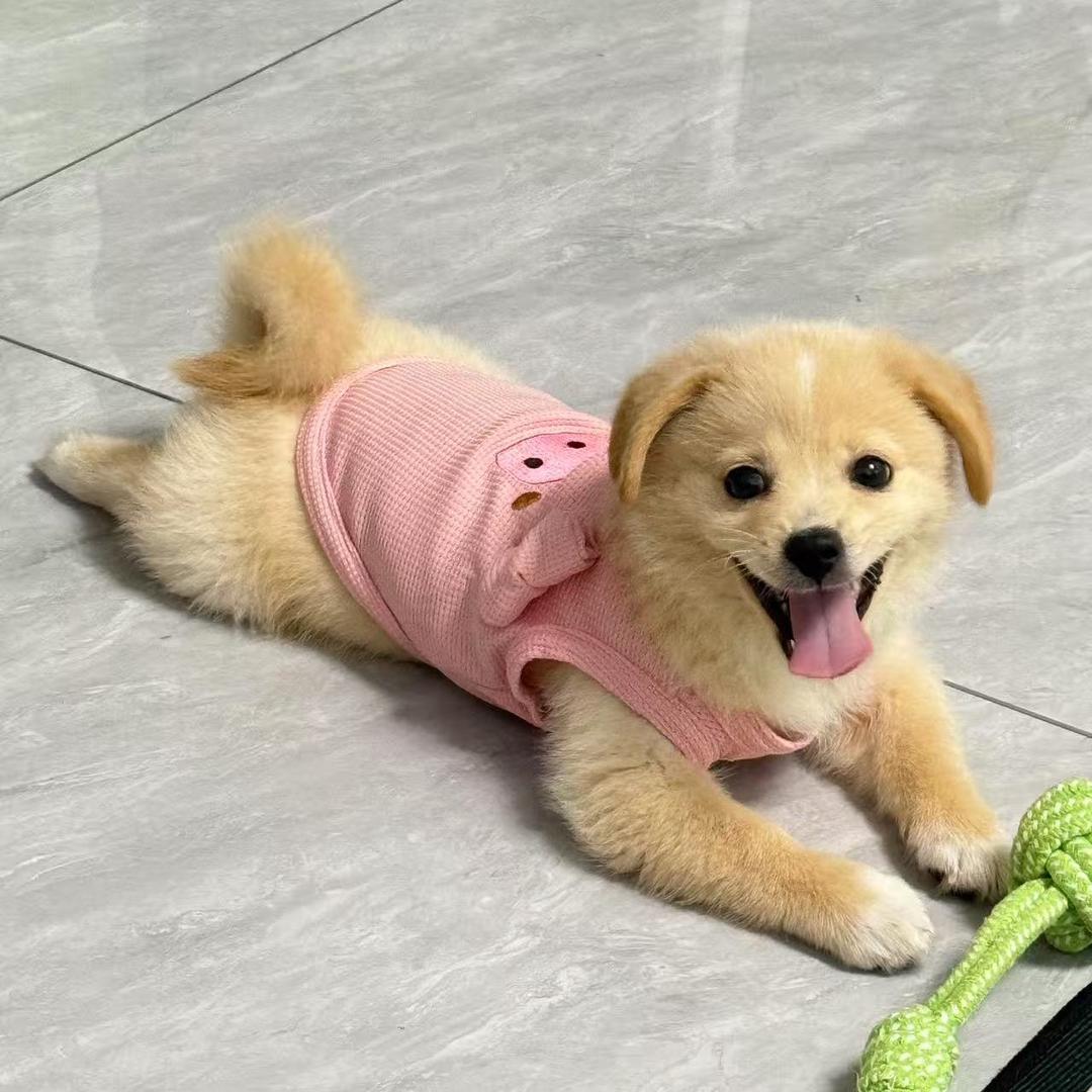 是蛋黄呀！