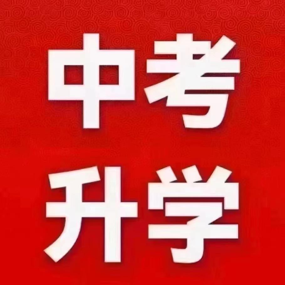 山东升学孙老师