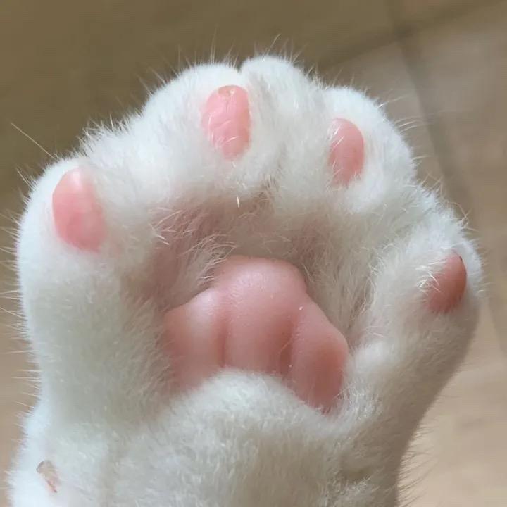 环亚 536