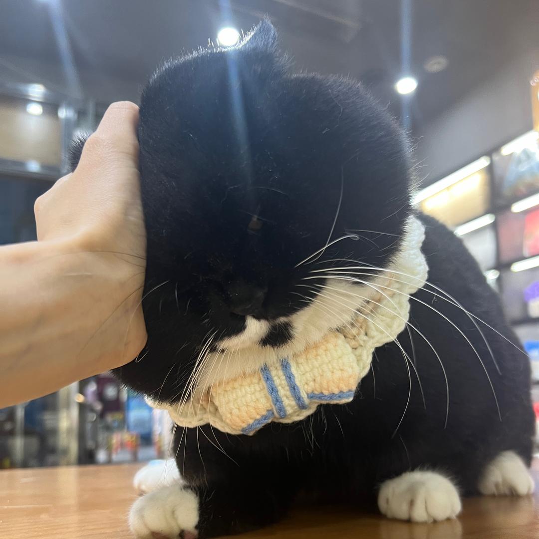 煤老板