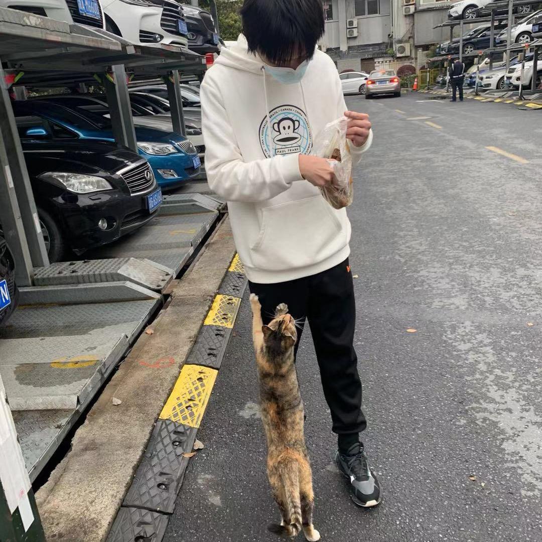 卡萨布兰卡…..