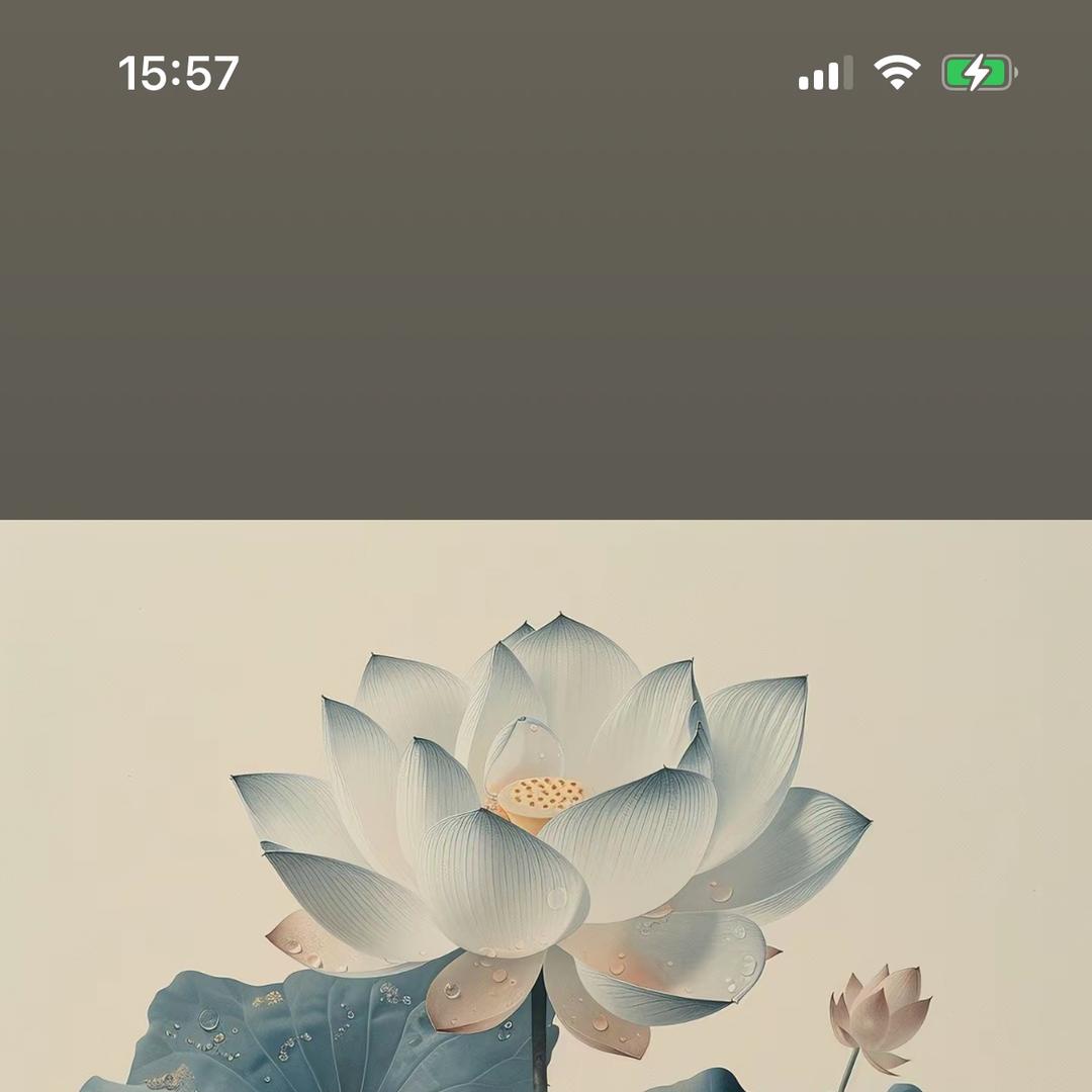 墨知书画