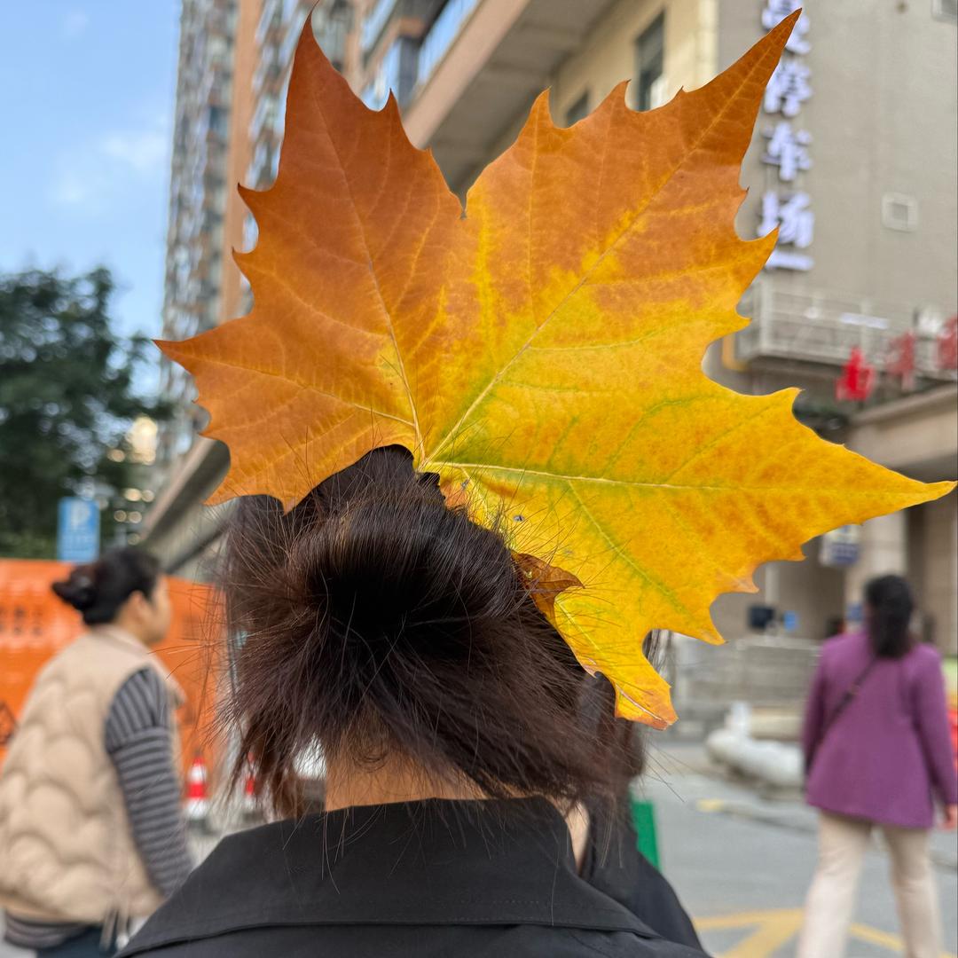 抖音上的一匹孤狼