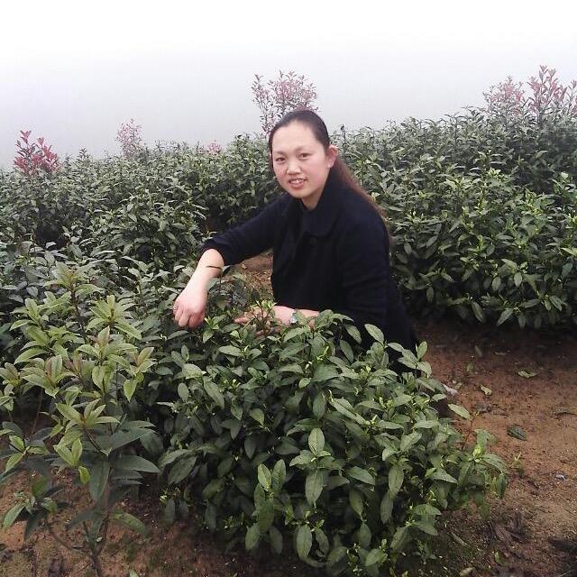 徽妞不当家