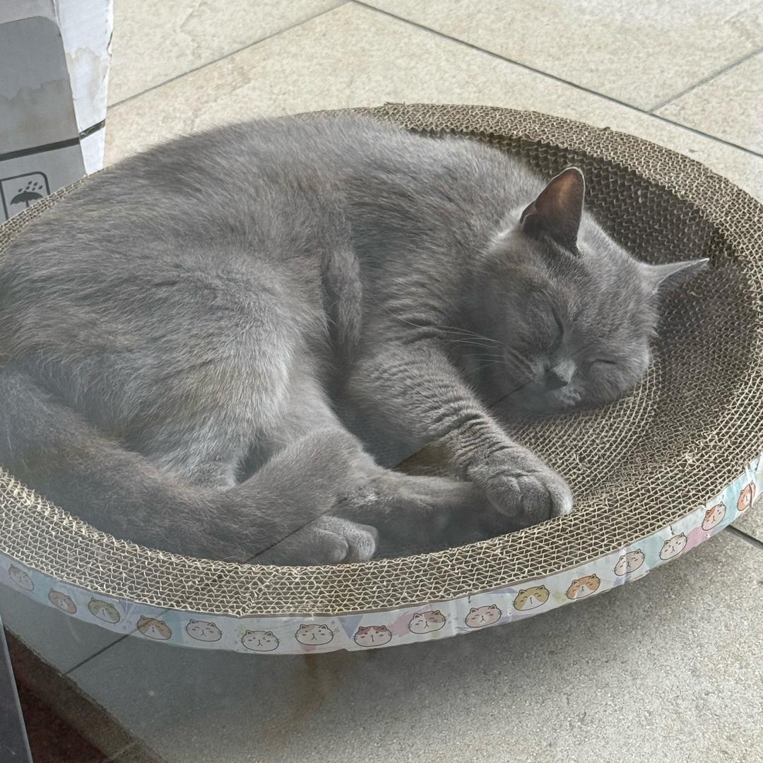 广联办公设备店