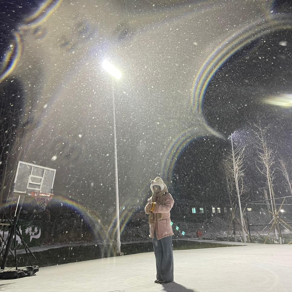 🌈小蜜蜂🐝🌈