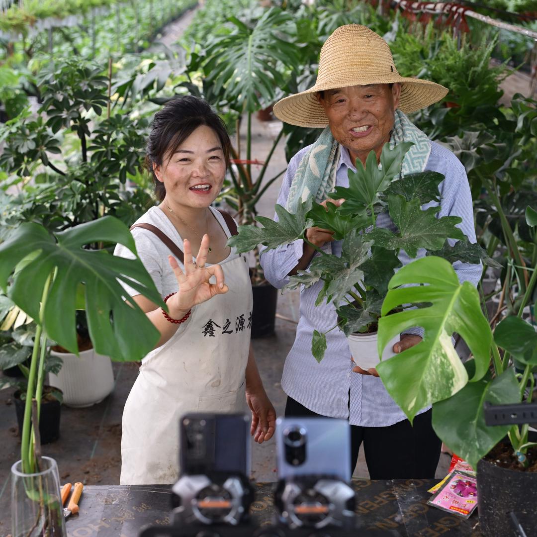 鑫之源花卉基地直发