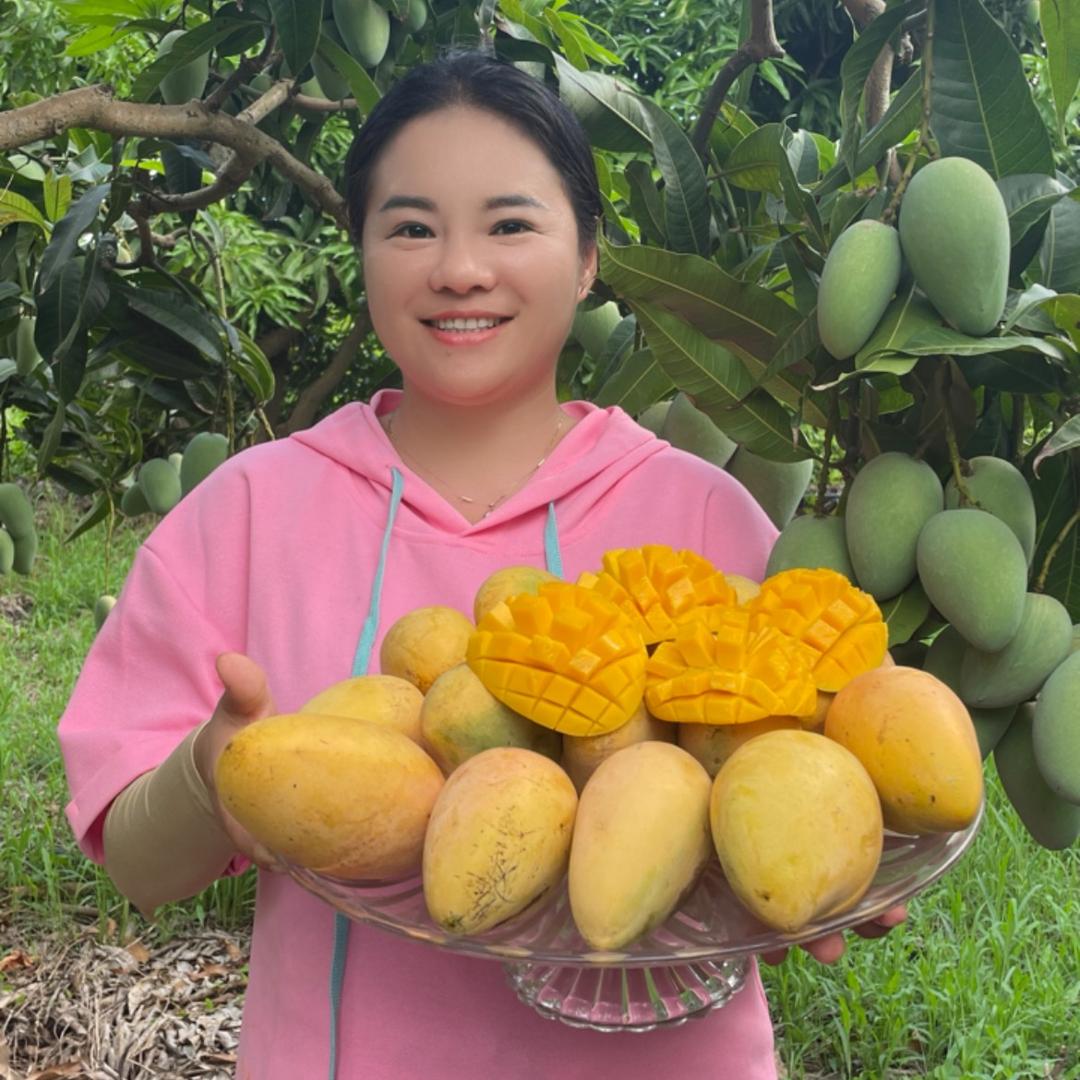 小乐乐家用优品A