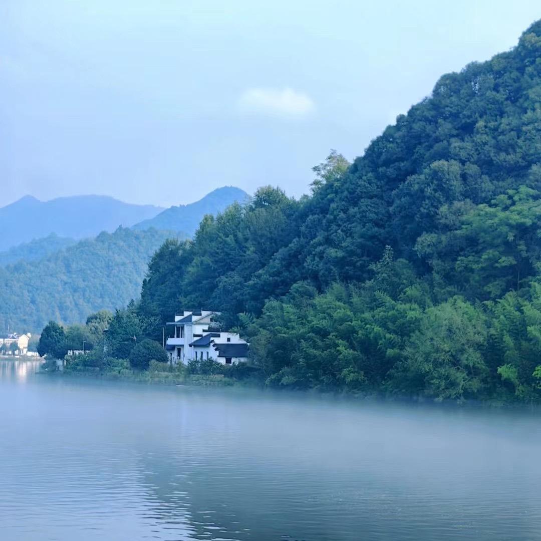 南浔小沈卖地板（厂家直销）