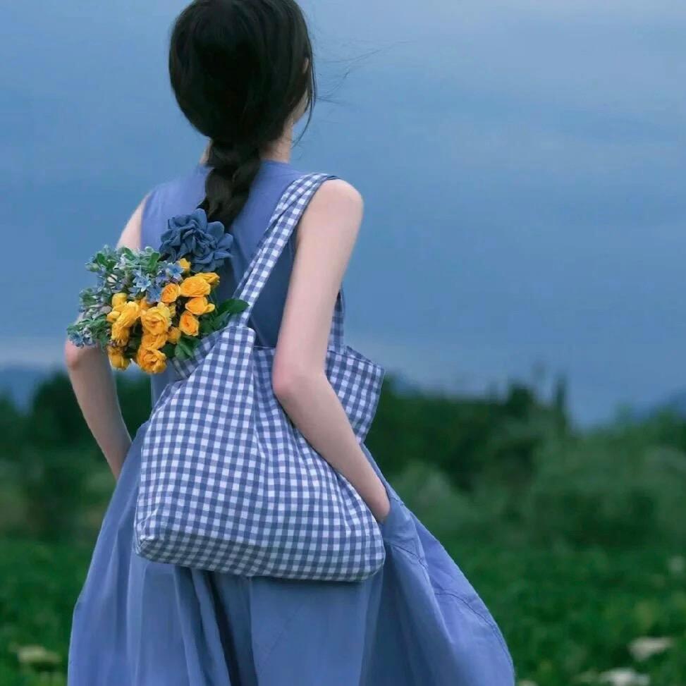 努力版李小姐