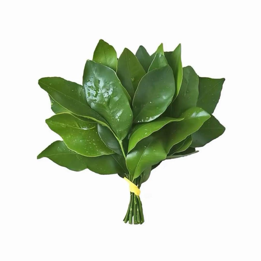 嗯哼大王嗯哼大王