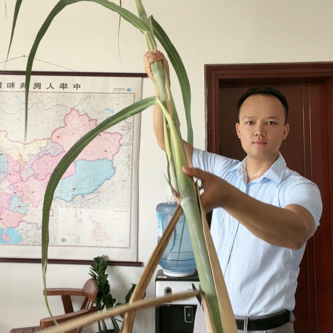 牧草达人—王先生
