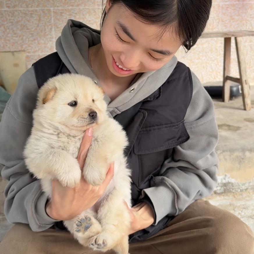 广西萌宠家（直播号）