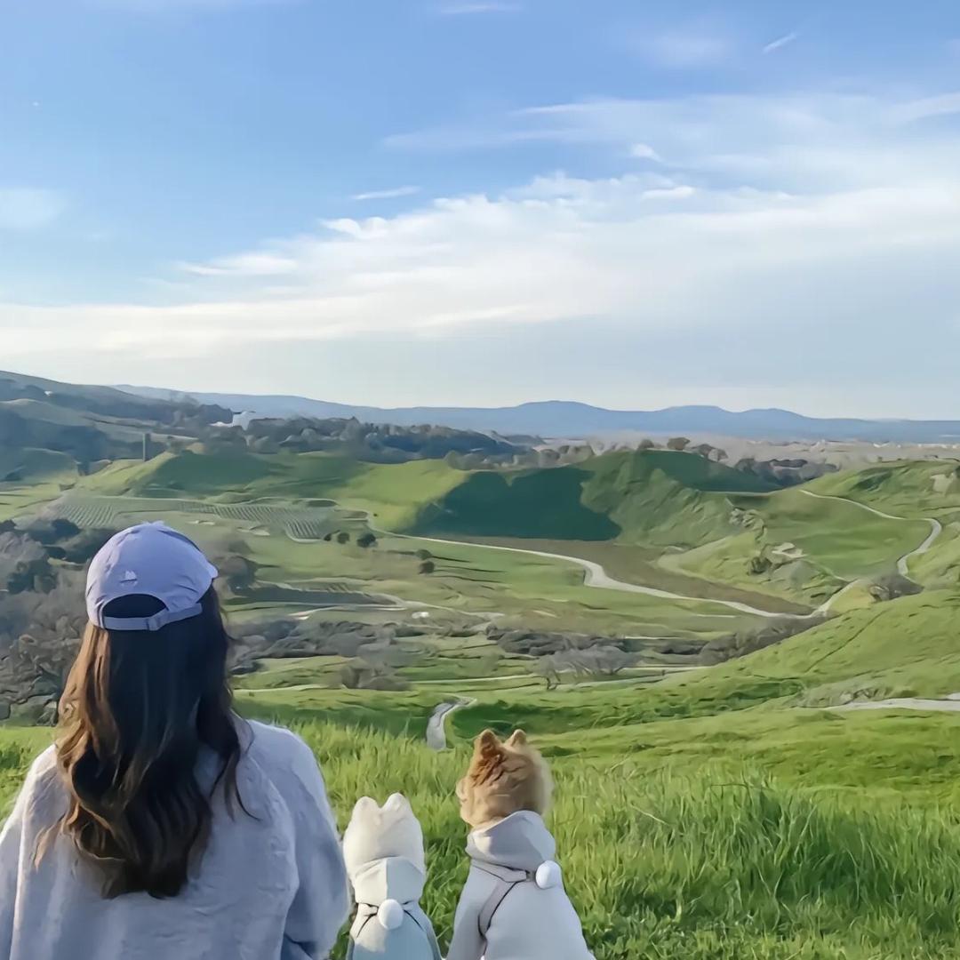 钱景无限