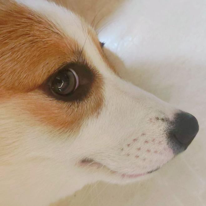 快乐小多多