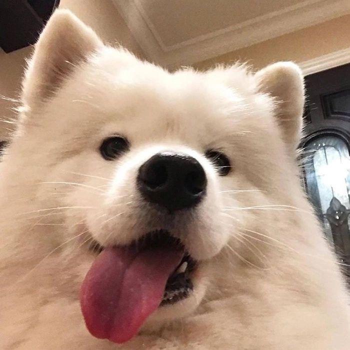 一宛丘丘人