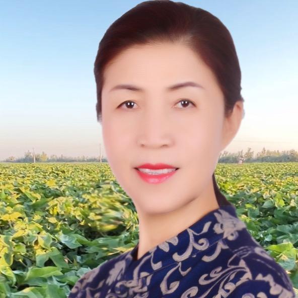 戈壁姐（启农农业）