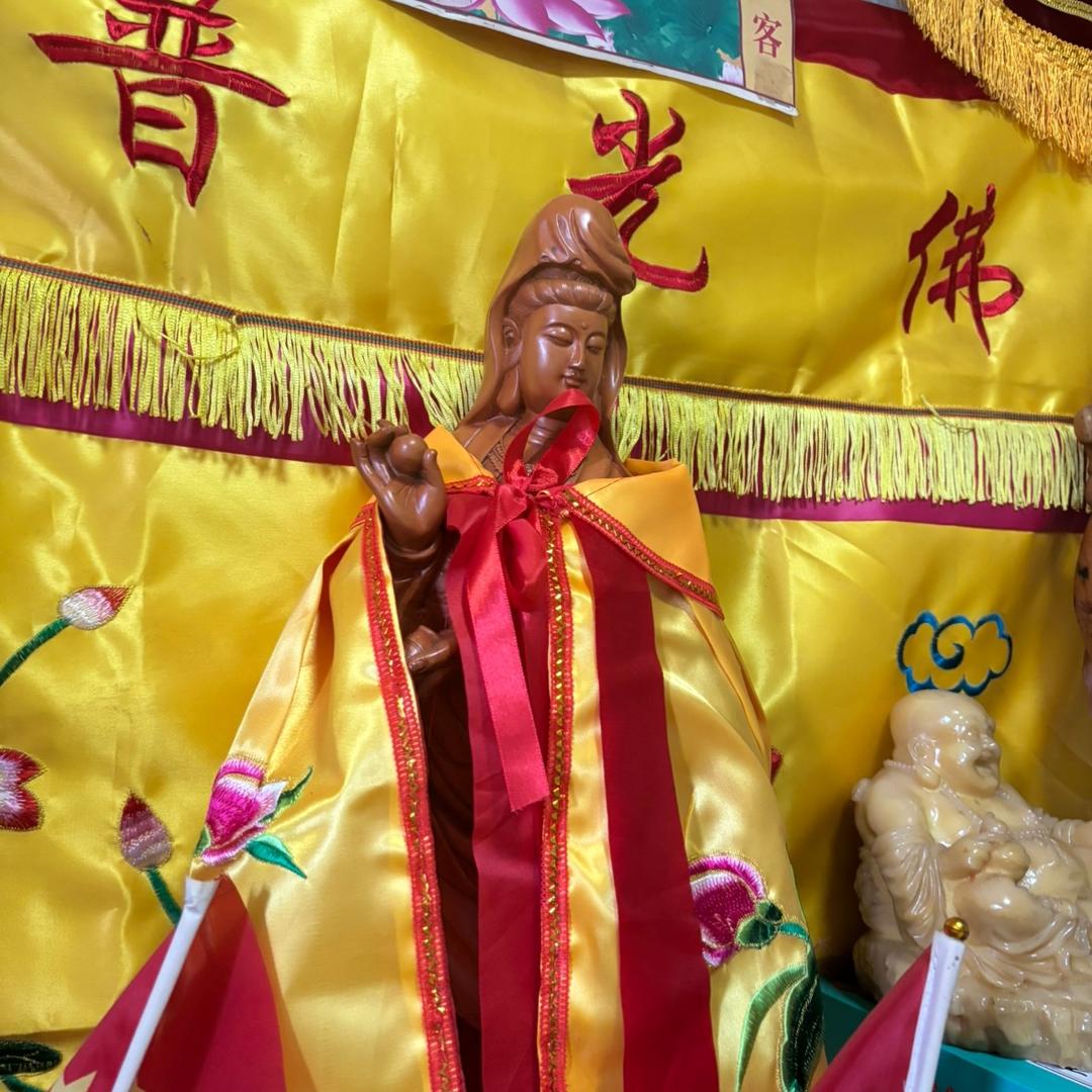 观.自在