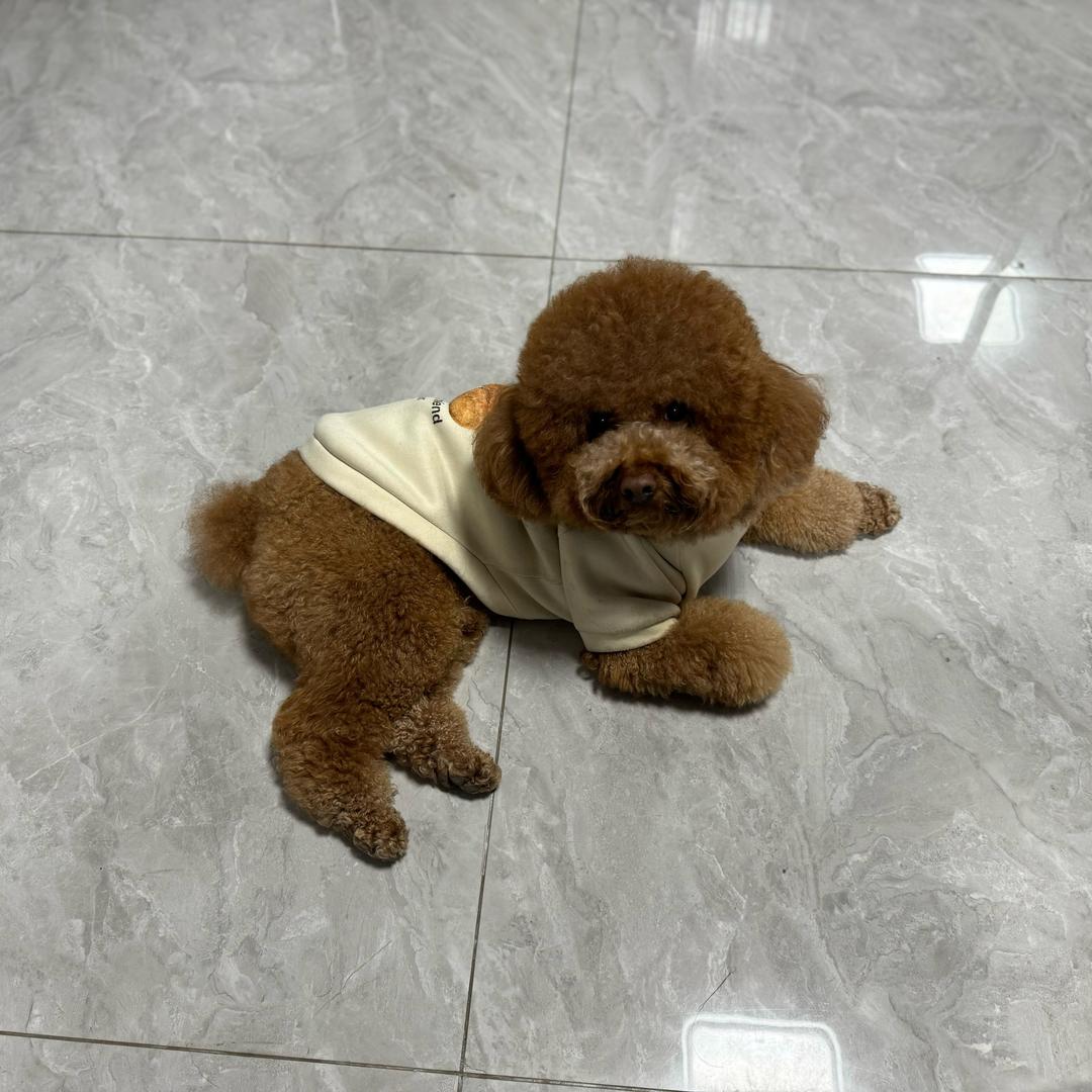 小多宝吖