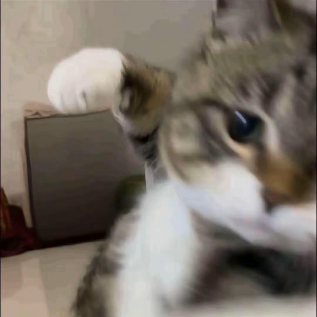 小肚溜圆