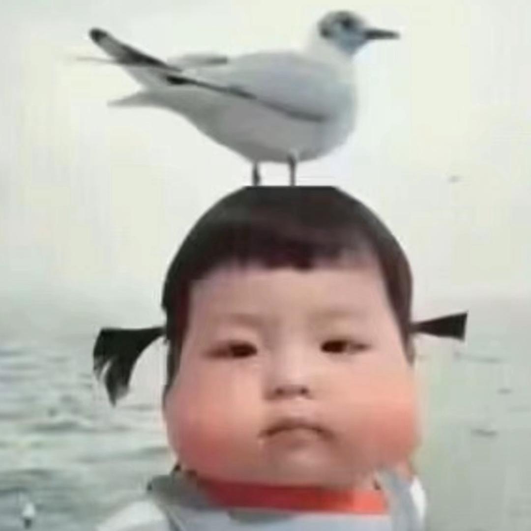小猪