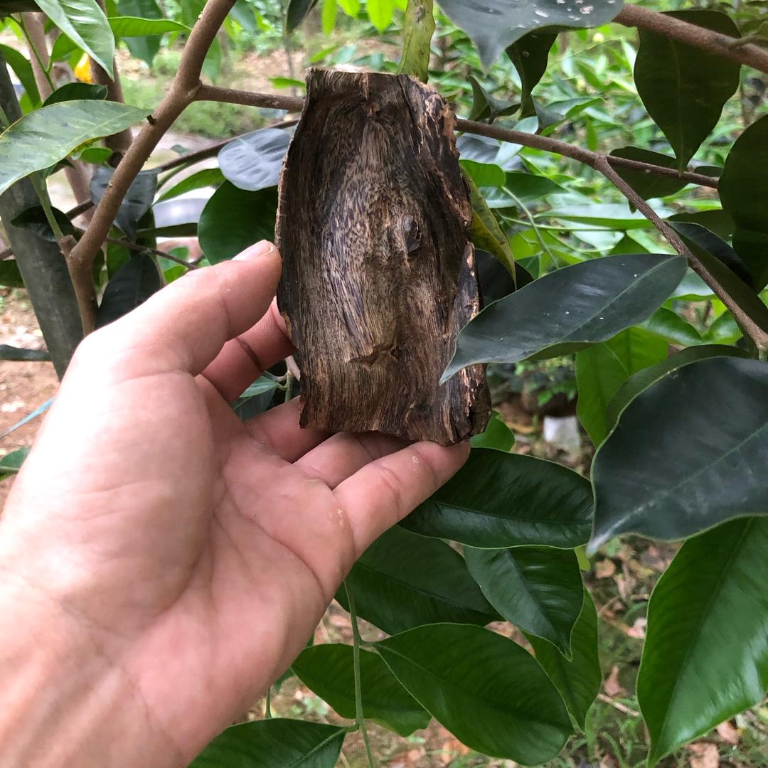 忘了昨天从新开始［国清］