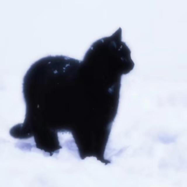 原味薯片大蟑螂