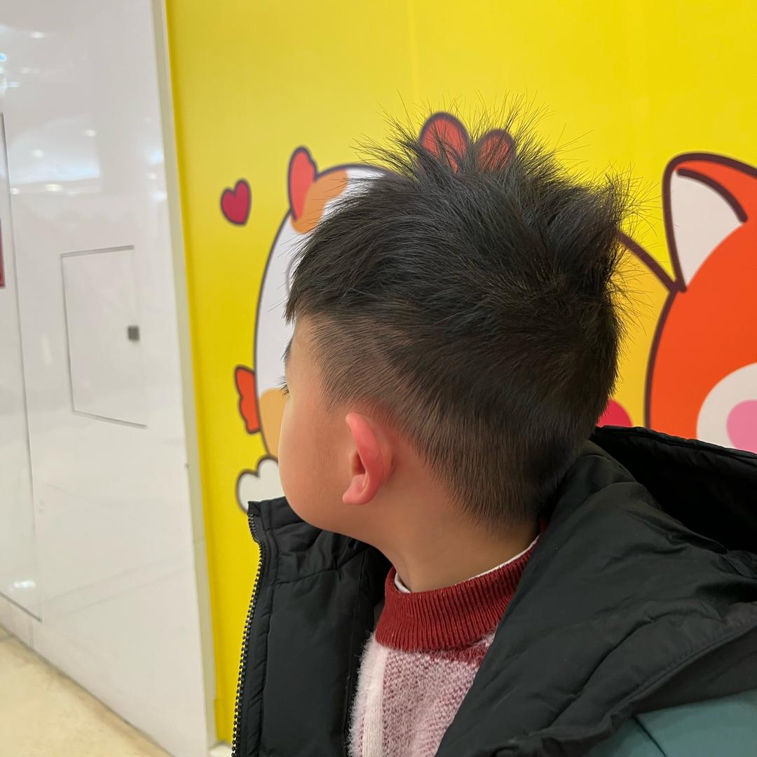 彧猪呀
