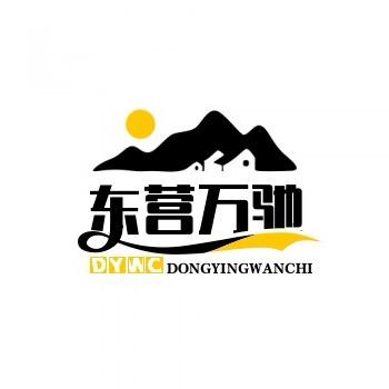 东营万驰汽车服务有限公司