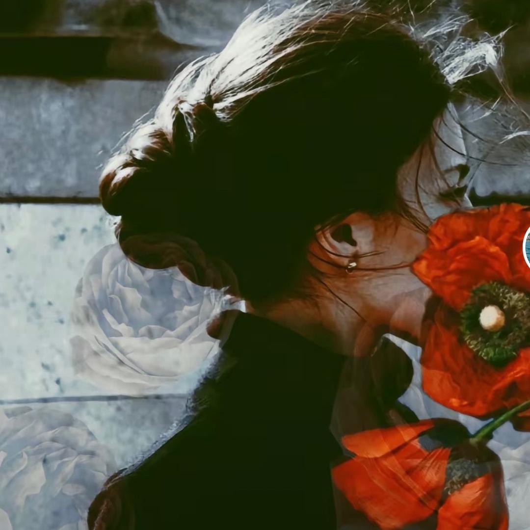 🌸ღ᭄ꦿ郑迷茫🍷💞