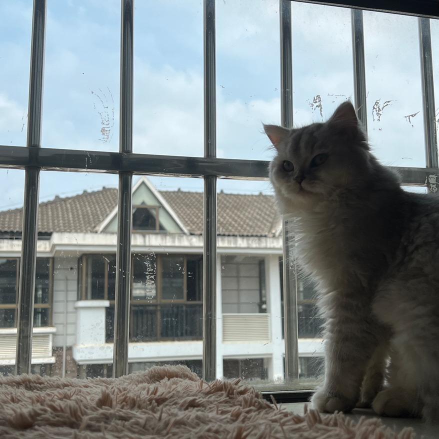 無块钱（没有三头）