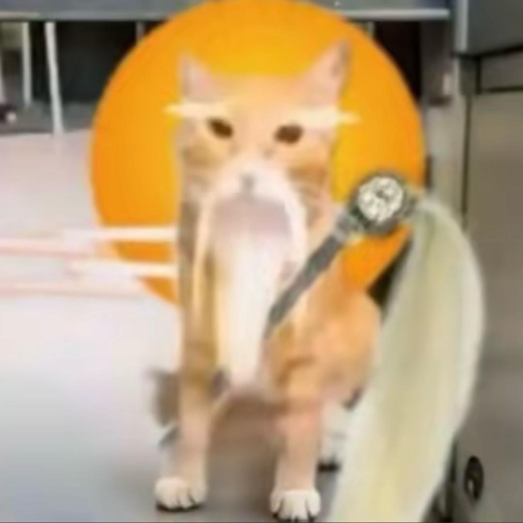 哈基仙人