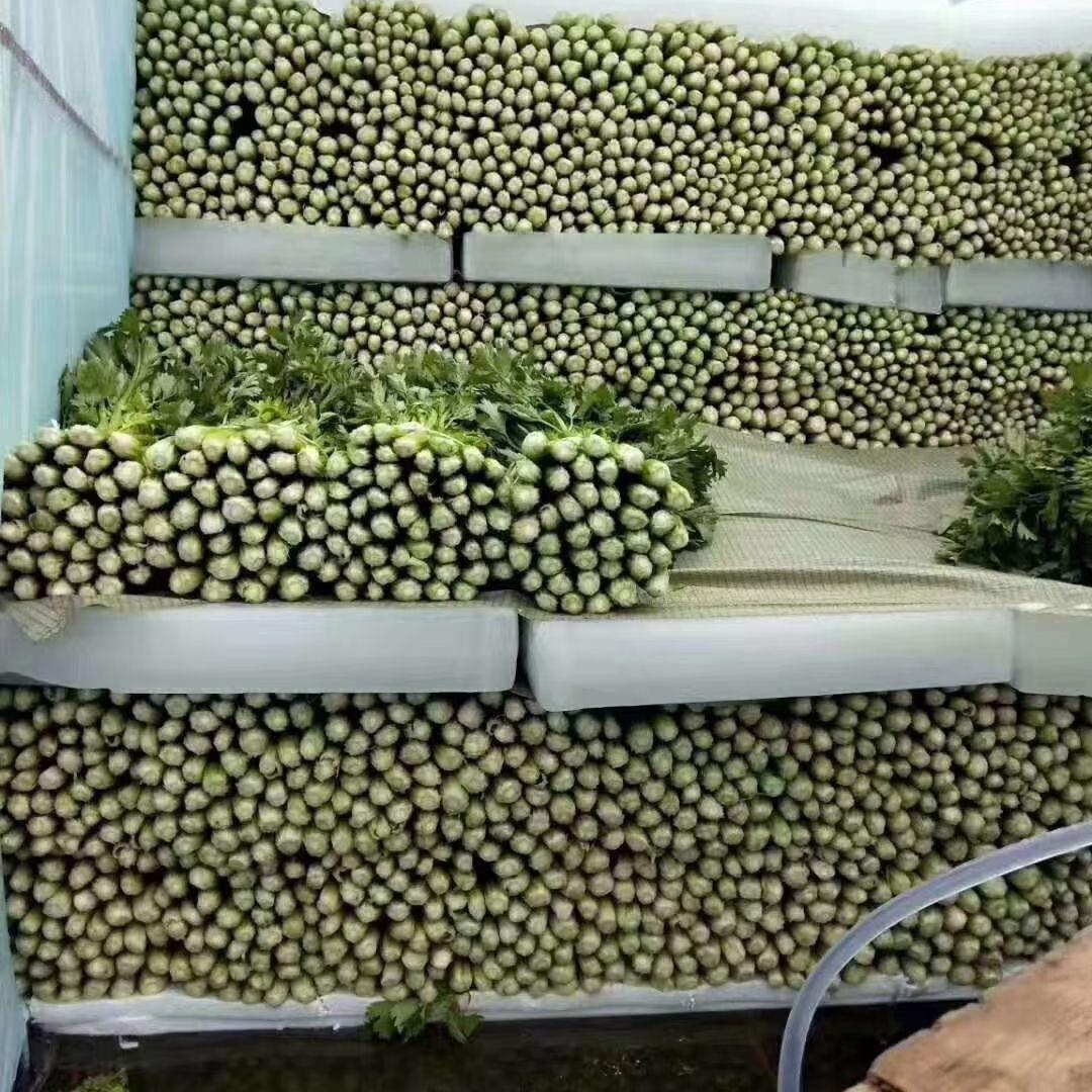 小林果蔬（代采代卖）