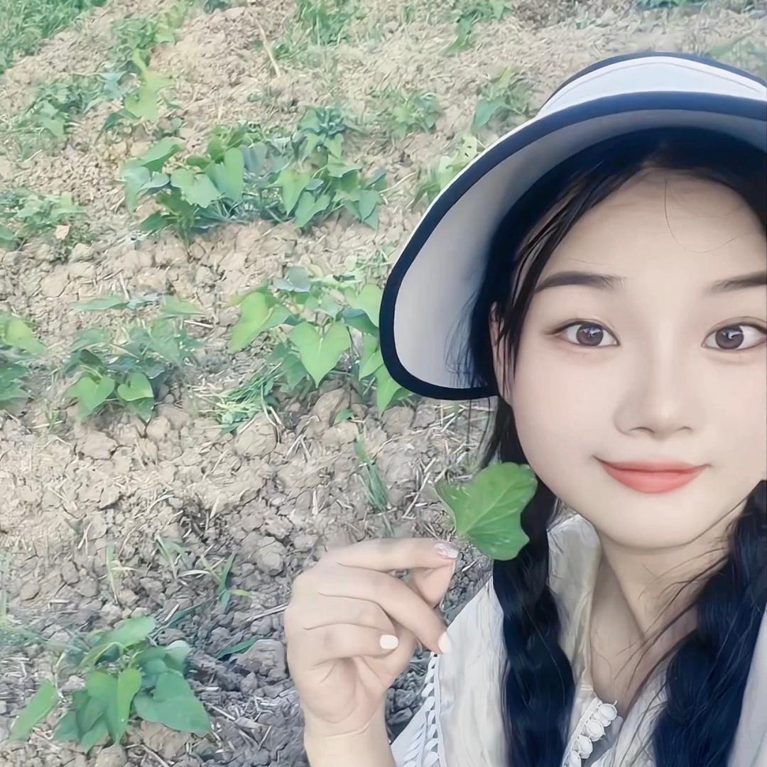 玩农机的孙小姐