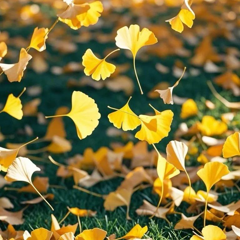 山东元恒好物甄选阁