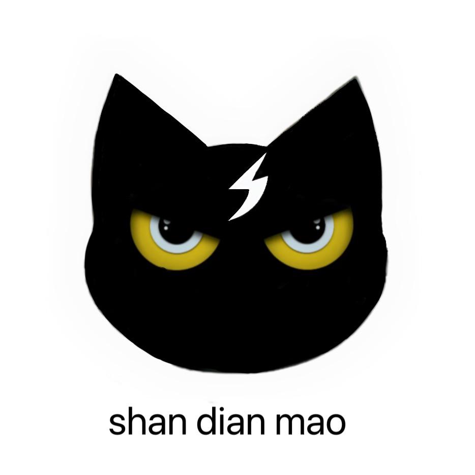 那就闪电猫