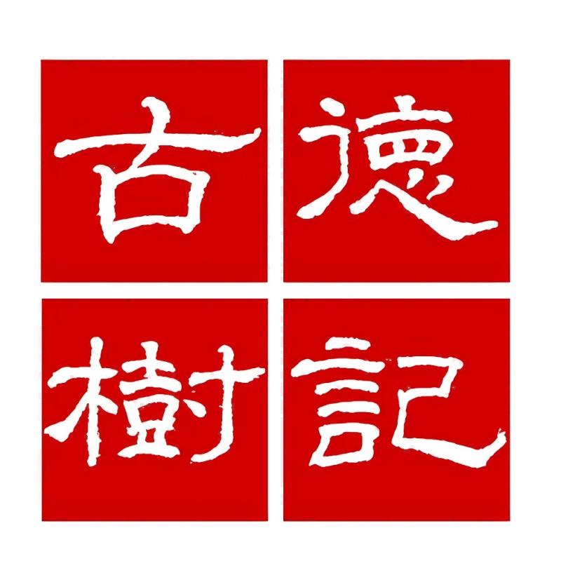 德记古树茶叶店