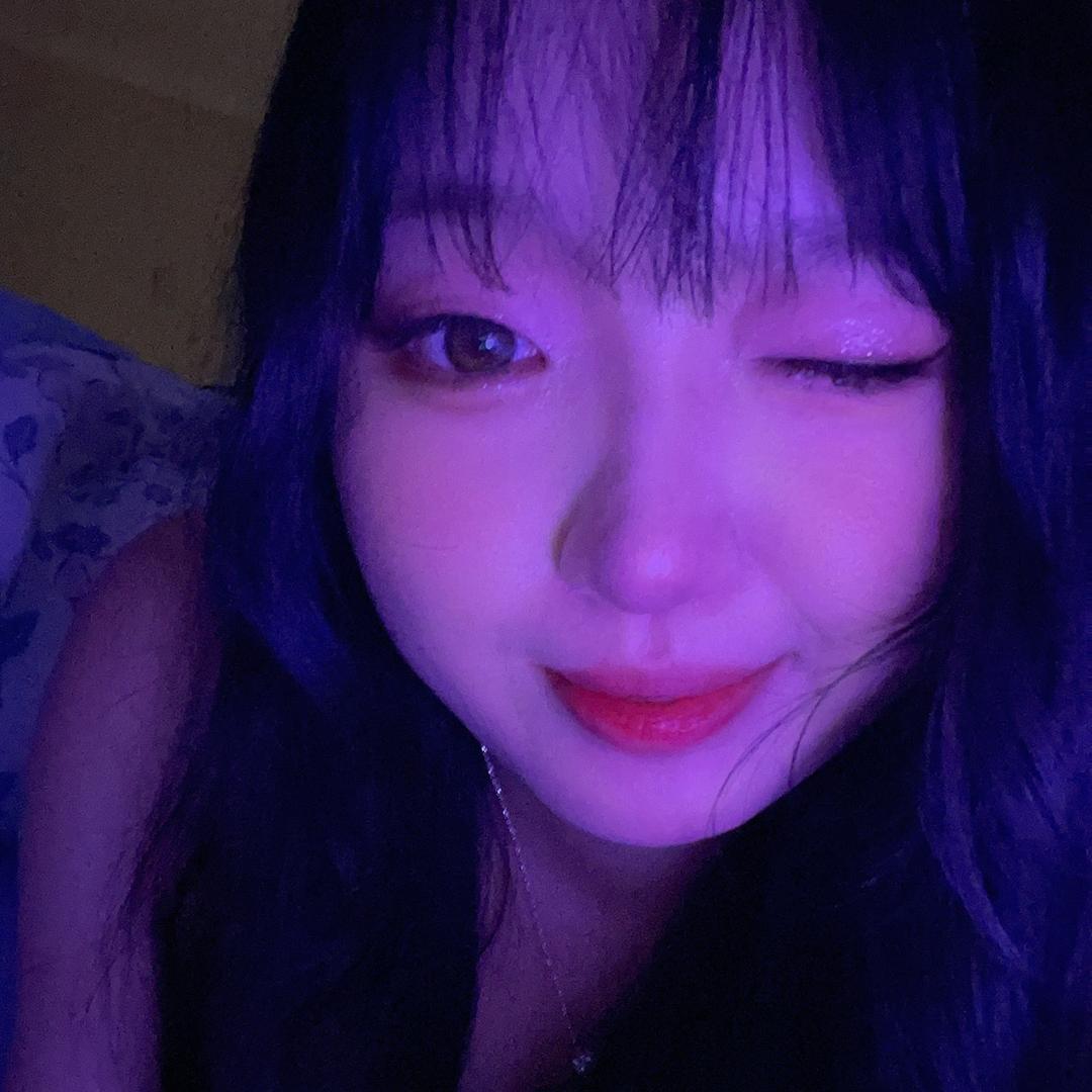 呆呆酱
