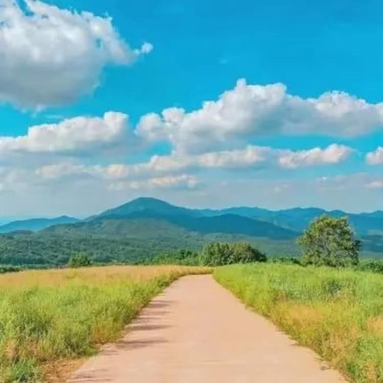 . 淡白色╰一素锦流年